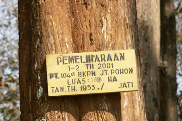 Tree verification 2